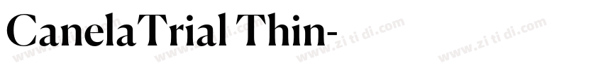 CanelaTrial Thin字体转换